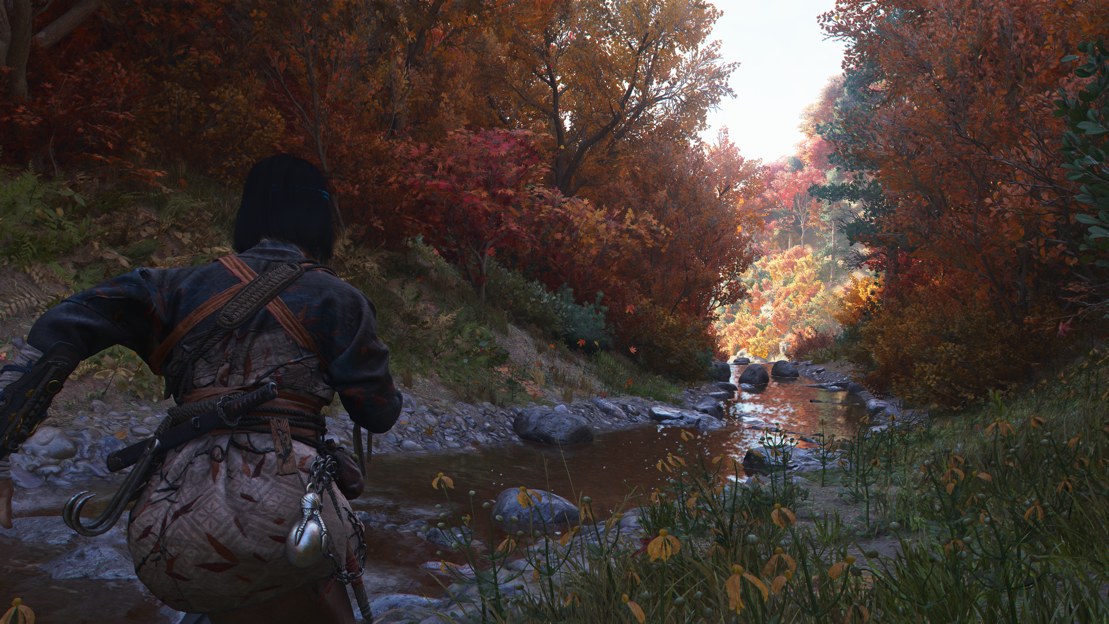 A screenshot from Assassin's Creed Shadows. Naoe follows a babbling brook through a wooded area.