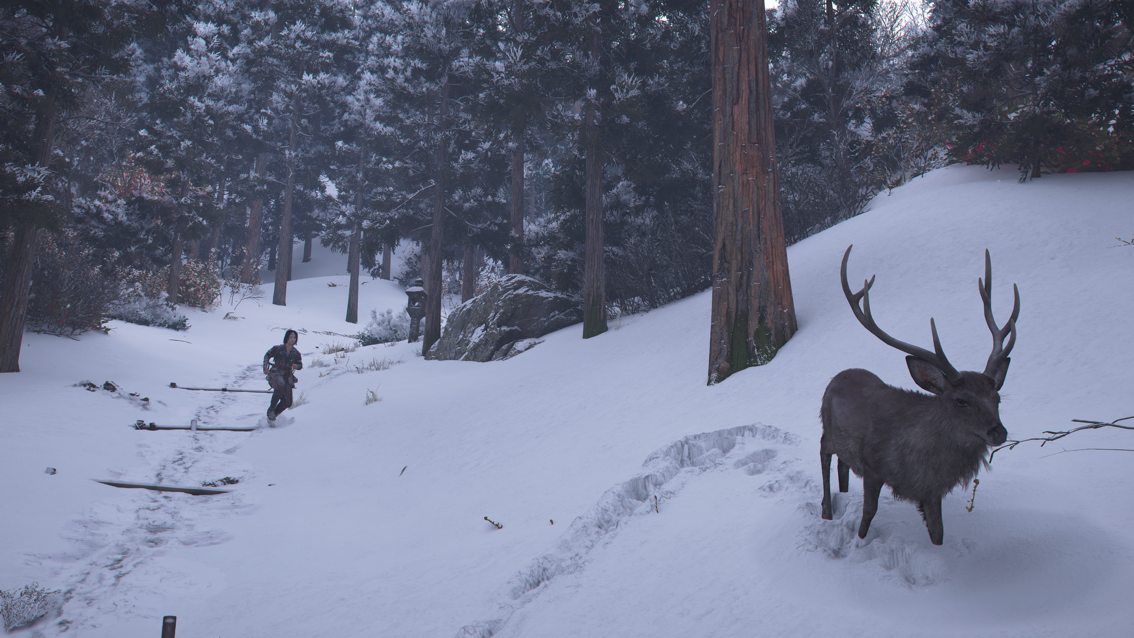 A screenshot from Assassin's Creed Shadows depicting a snowy woods, Naoe is chasing a deer non-violently.