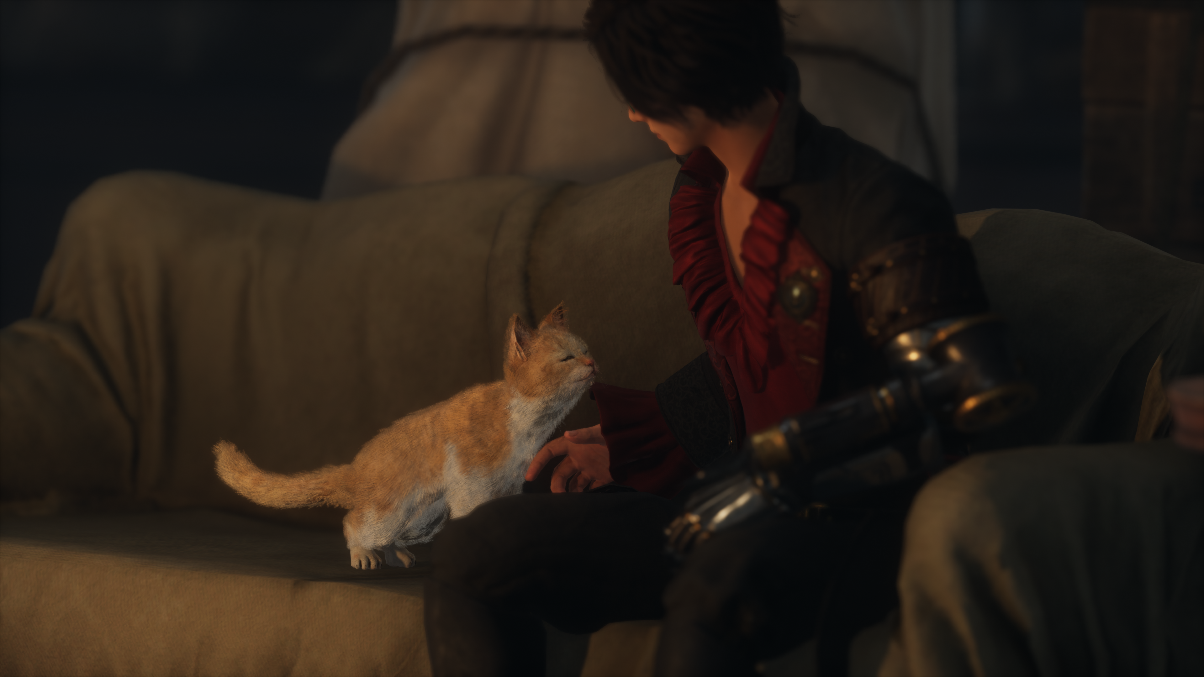 P being approached by a kitty cat.