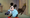Let Mickey Mouse Have A Gun